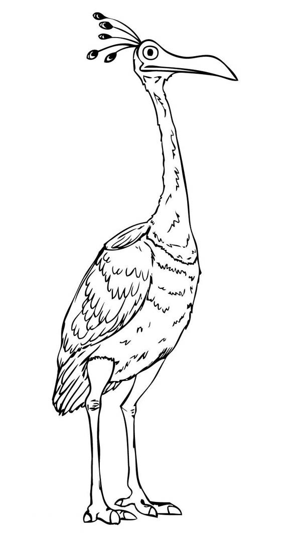 Beautiful Disney Up Character Kevin the Bird Coloring Page ...