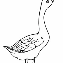 Angry Goose Coloring Page
