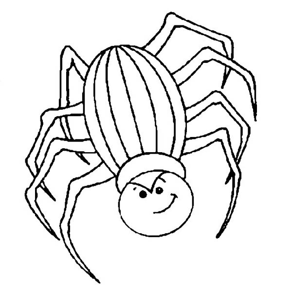 Angry Spider Coloring Page