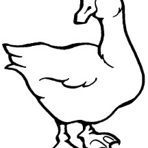 Awesome Goose Drawing Coloring Page