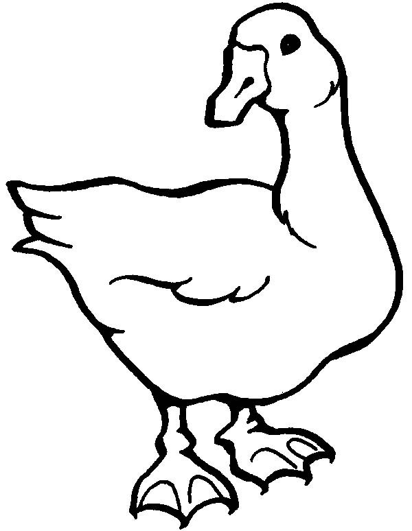 Awesome Goose Drawing Coloring Page