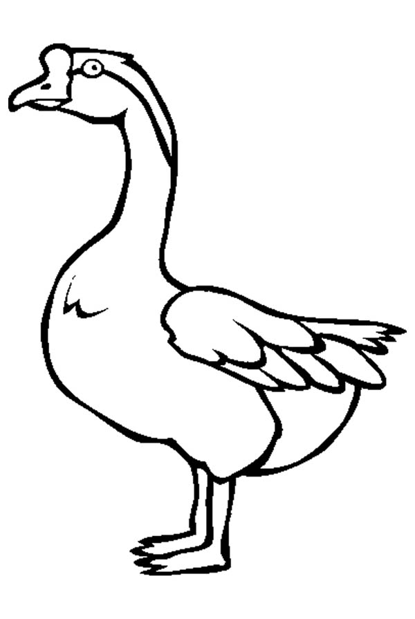 Awesome Picture of Goose Coloring Page