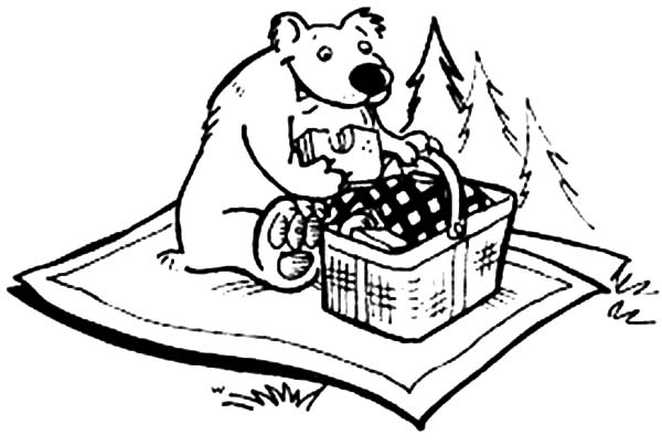 Bear Eating Picnic sandwich Coloring Page