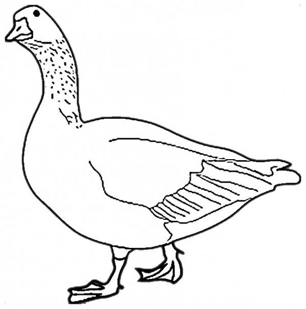 Beautiful Goose Coloring Page