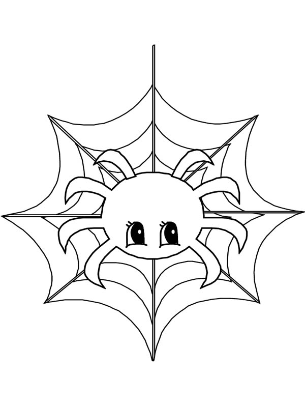 Cute Little Spider on Spider Web Coloring Page