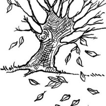 Dogwoods Tree Fall Leaf Coloring Page