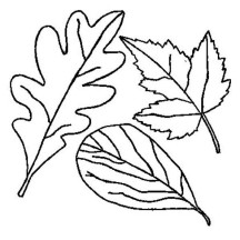 Drawing of Fall Leaf Coloring Page
