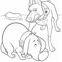 Dug is Afraid to Alpha in Disney Up Coloring Page