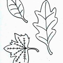 Fall Leaf Image Coloring Page