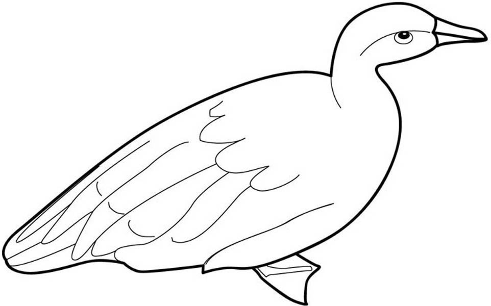 Goose Stoop His Head Coloring Page