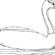 Goose Swim in the Pond Coloring Page