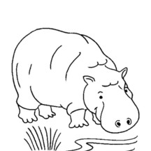 Hippo Drink in Riverbank Coloring Page