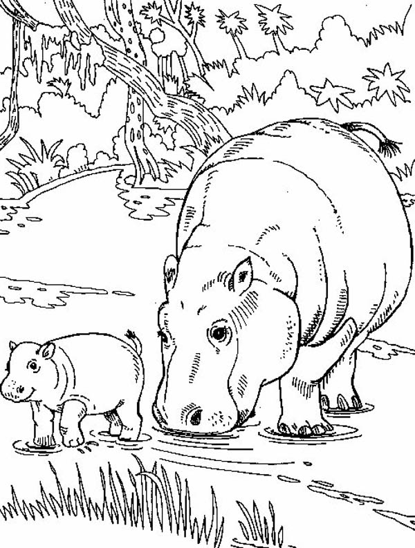 Hippo Eating with Her Baby Coloring Page