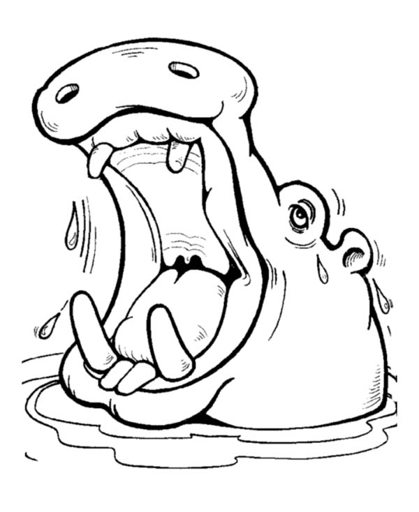 Hippo Soaking in the River Coloring Page