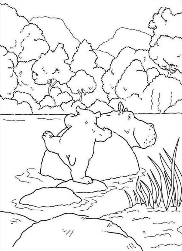 Hippo Swim in the River Coloring Page
