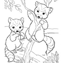 Little Raccoon Climbing Tree Coloring Page