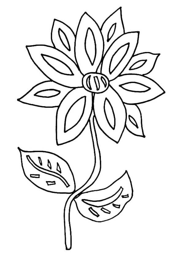 Picture of Flower Coloring Page