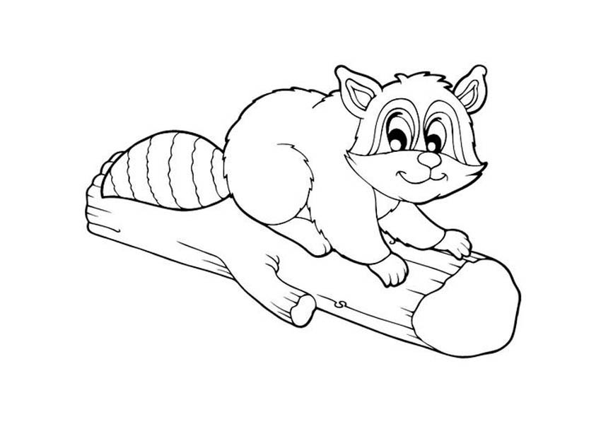 Raccoon on Piece of Wood Coloring Page