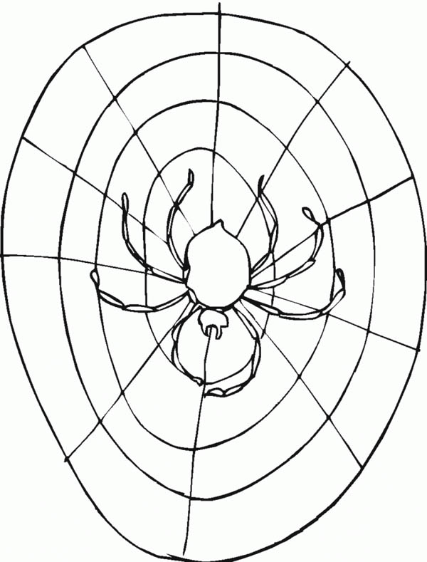 Round Spider Web Coloring Page