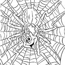 Silly Spider on Spider Web Coloring Page