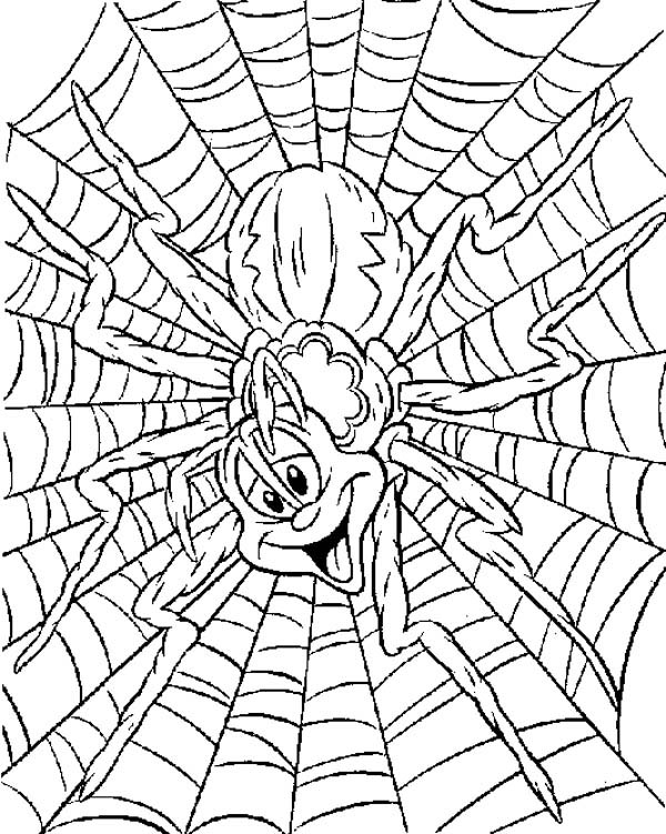 Silly Spider on Spider Web Coloring Page