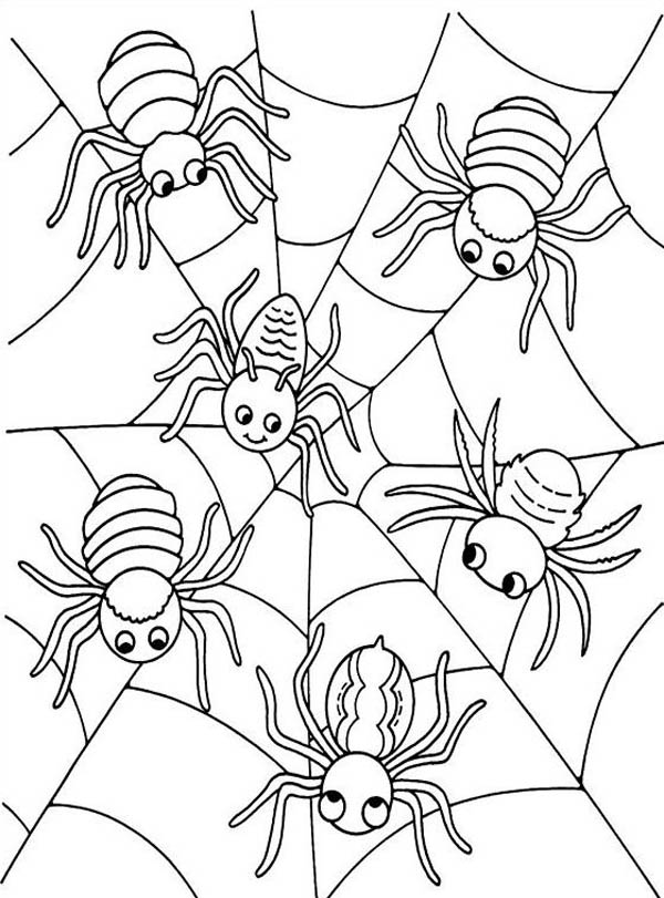 Six Cute Spider on Spider Web Coloring Page - NetArt