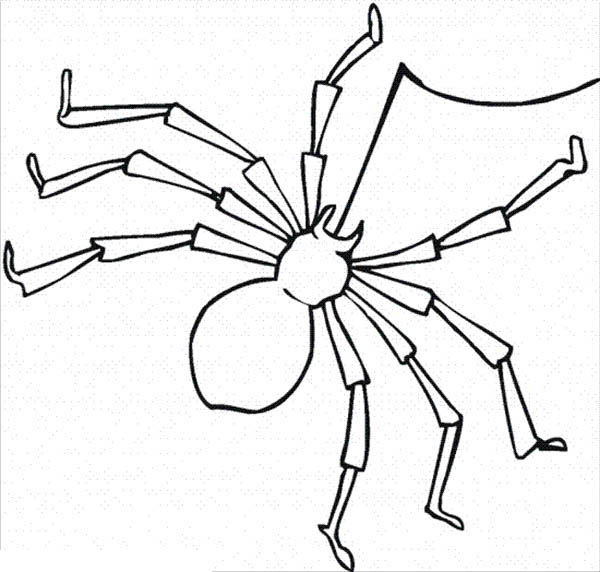 Spider Making Spider Web Coloring Page