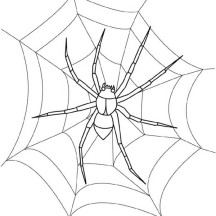 Waiting fro Food on Spider Web Coloring Page