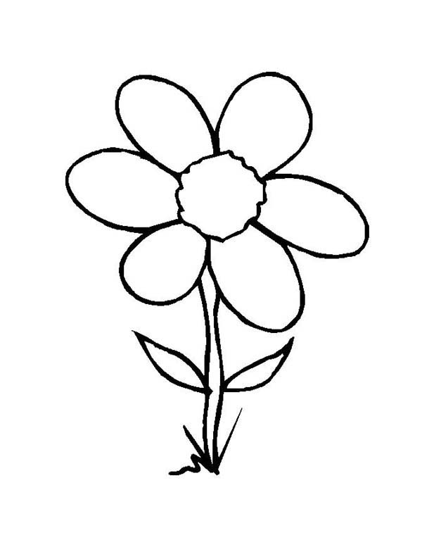 Wild Grass Flower Coloring Page