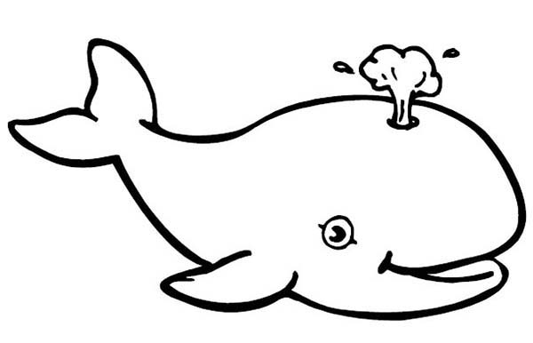 A laughing Killer Whale Coloring Page