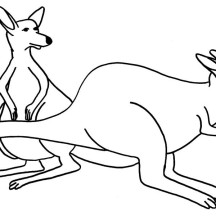 Awesome Kangaroo Couple Coloring Page