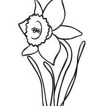 Blooming Daffodil Coloring Page