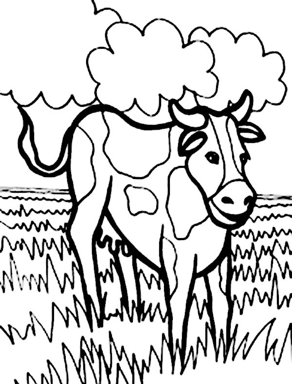 Cow in the Meadow Coloring Page