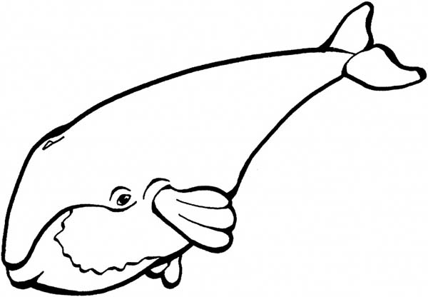 Cute Drawing of a Blue Whale Coloring Page
