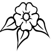 Daffodil Image Coloring Page
