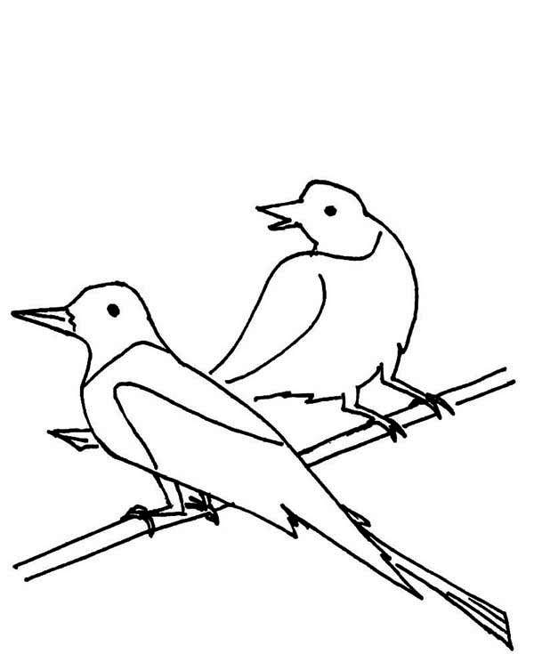Draw Seagull Coloring Page