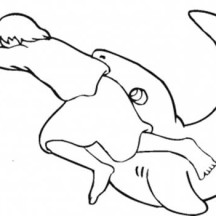 Jonah and the Whale Story Coloring Page
