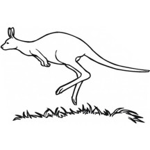 Kangaroo Jumping in the Meadow Coloring Page