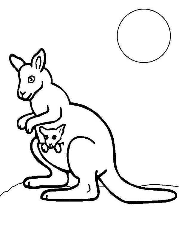Kangaroo and Baby Kangaroo with Moonlight Coloring Page