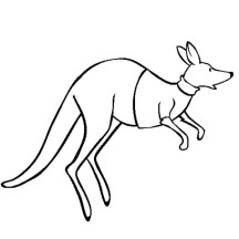 Kangaroo with Clothes on Jumping Around Coloring Page