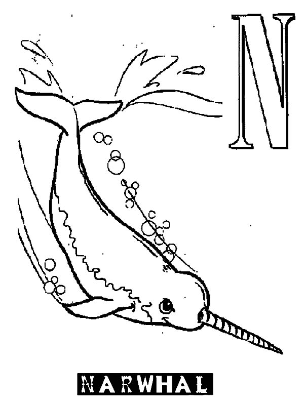 N is for Narwhal Coloring Page