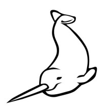 Narwhal Drawing Coloring Page