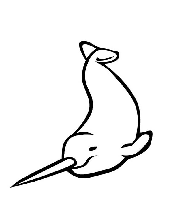 Narwhal Drawing Coloring Page