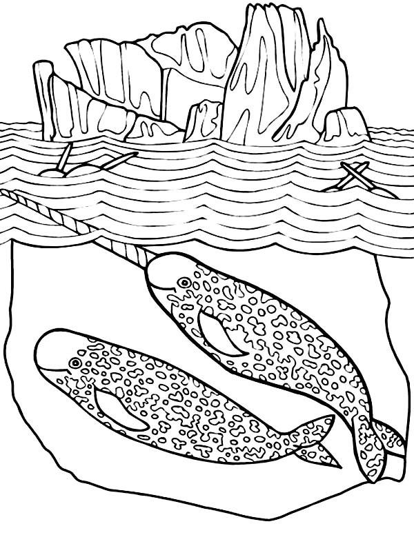 Narwhal Mating Coloring Page