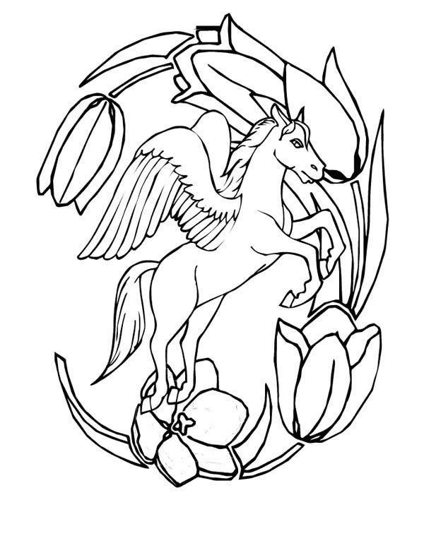 Pegasus and Flower Frame Coloring Page