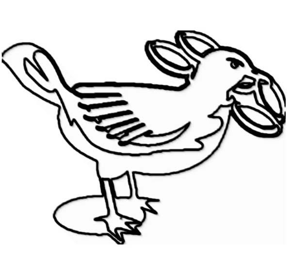 Seagull Drawing Coloring Page