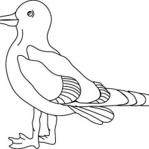 Seagull Rest After Flying Coloring Page