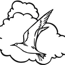 Seagull and the Clouds Coloring Page