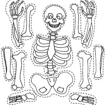 Skeleton and His Bones Part Coloring Page