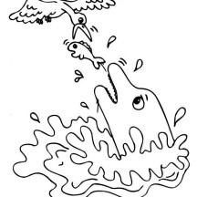 Struggling Between Dolphin Seagull Coloring Page